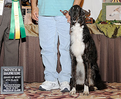 2012 Obedience Award of Merit