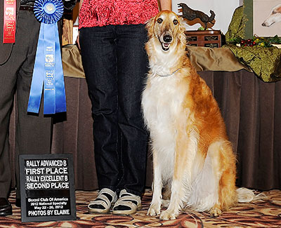 2012 Obedience Open Class 'B' - 1st