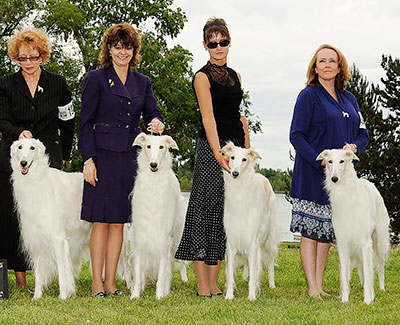 2012 Stud Dog Class - 1st