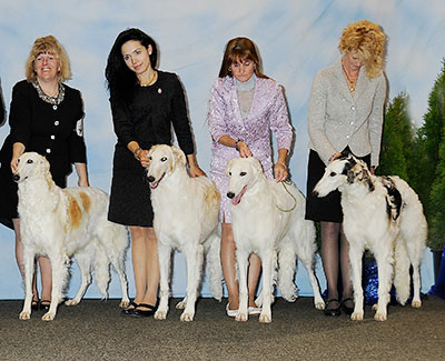 2013 Futurity Brood Bitch Class - 1st