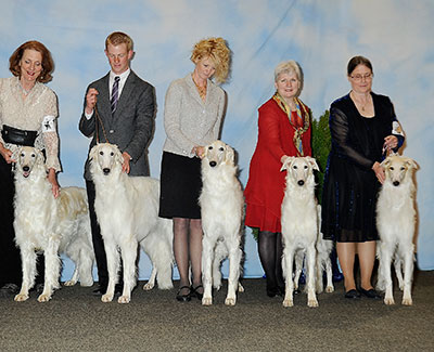 2013 Futurity Stud Dog Class - 1st