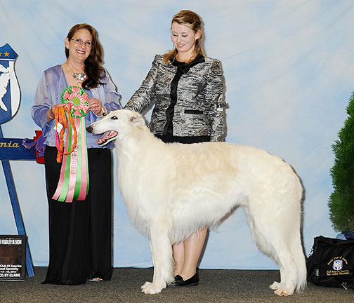 2013 Best Junior Showman