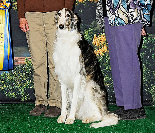 2014 High in Obedience Trial