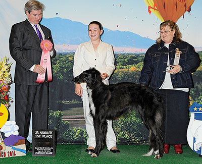 2014 Novice Junior Showman Class - 1st