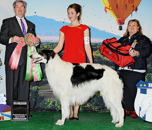 2014 Best Junior Showman