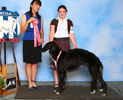 2015 Novice Junior Showman Class - 1st