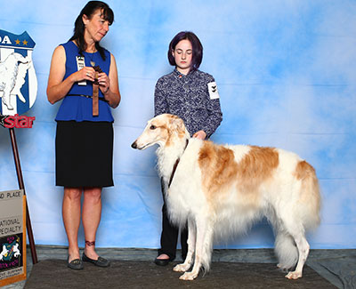 2015 Novice Junior Showman Class - 2nd