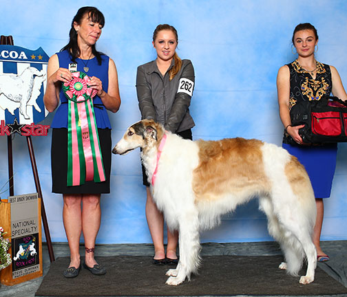 2015 Best Junior Showman