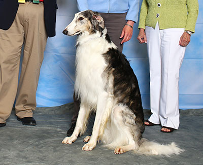 2015 Obedience Novice Class 'B' - 3rd