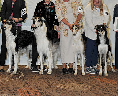 2016 Futurity Brood Bitch Class - 1st