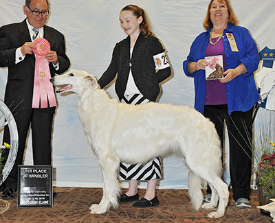 2016 Novice Junior Showman Class - 1st