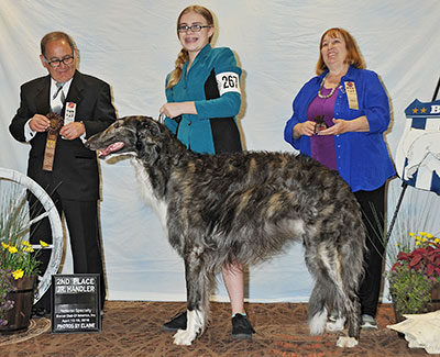 2016 Novice Junior Showman Class - 2nd