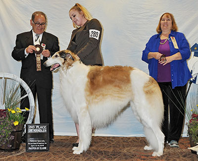 2016 Open Junior Showman Class - 2nd