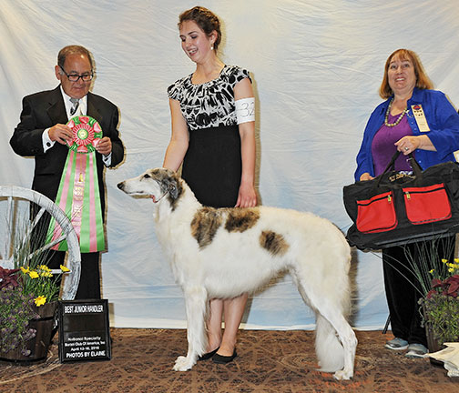 2016 Best Junior Showman