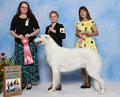 2017 Novice Junior Showman Class - 1st