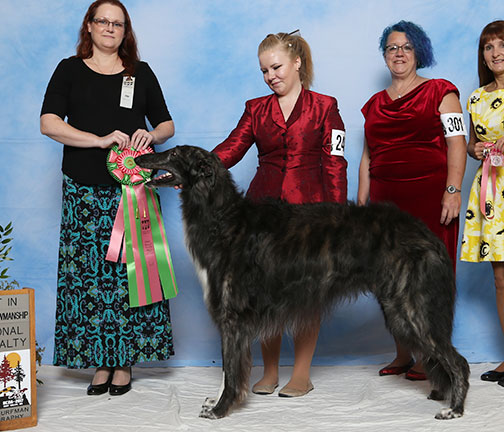 2017 Best Junior Showman