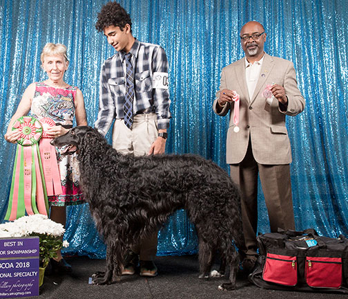 2018 Best Junior Showman