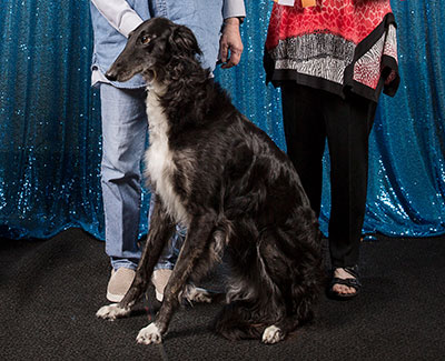 2018 Obedience Award of Merit