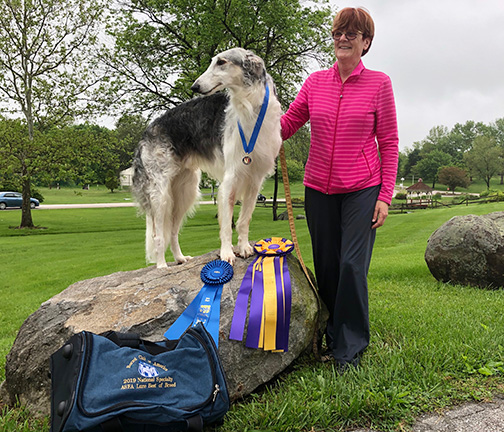 2019 ASFA Lure Coursing Best of Breed