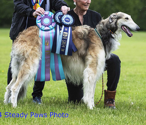 2019 LGRA Best of Breed