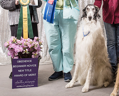 2019 Obedience Award of Merit