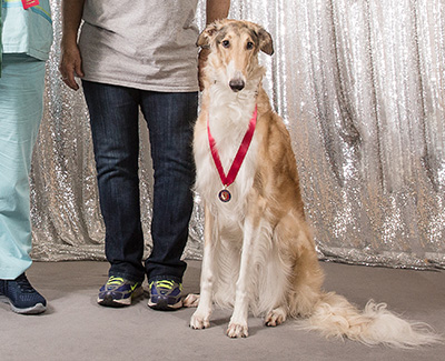 2019 Obedience Award of Merit