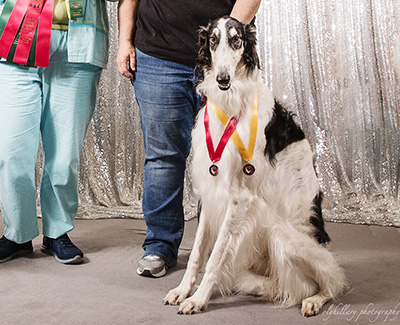 2019 Obedience Beginner Novice Class 'B' - 3rd