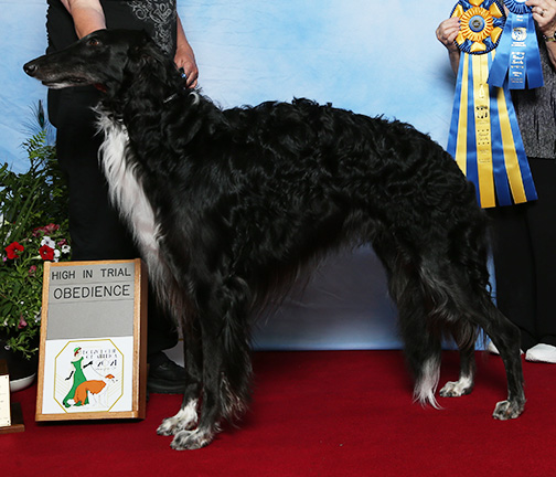 2021 High in Obedience Trial