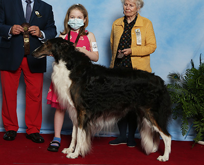 2021 Novice Junior Showman Class - 2nd