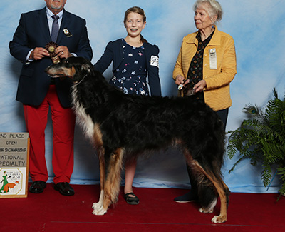 2021 Open Junior Showman Class - 2nd