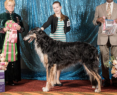 2022 Open Junior Showman Class - 1st