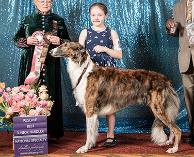 2022 Open Junior Showman Class - 2nd