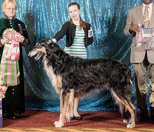 2022 Best Junior Showman