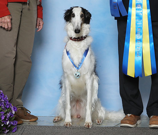 2023 High in Obedience Trial