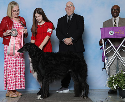 2023 Novice Junior Showman Class - 1st