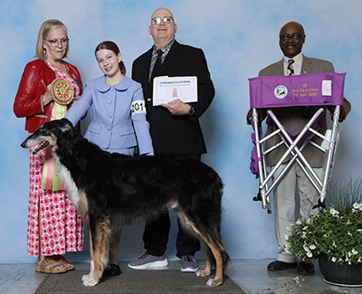 2023 Open Junior Showman Class - 1st