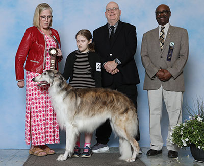 2023 Open Junior Showman Class - 2nd