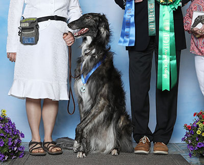 2023 Obedience Beginner Novice Class 'B' - 1st