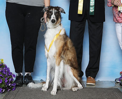 2023 Obedience Beginner Novice Class 'B' - 3rd