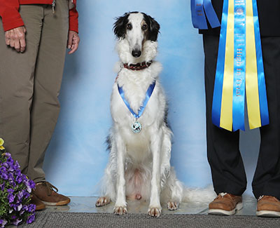 2023 Obedience Novice Class 'B' - 1st