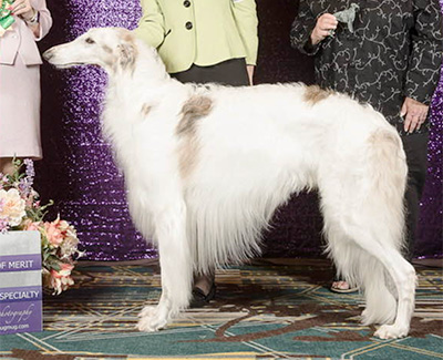 2024 Award of Merit