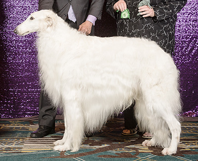 2024 Award of Merit