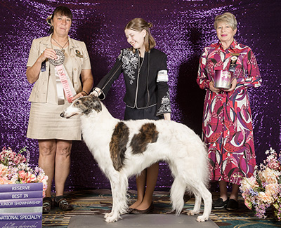 2024 Open Junior Showman Class - 2nd