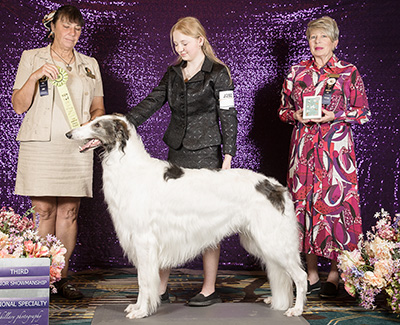 2024 Open Junior Showman Class - 3rd