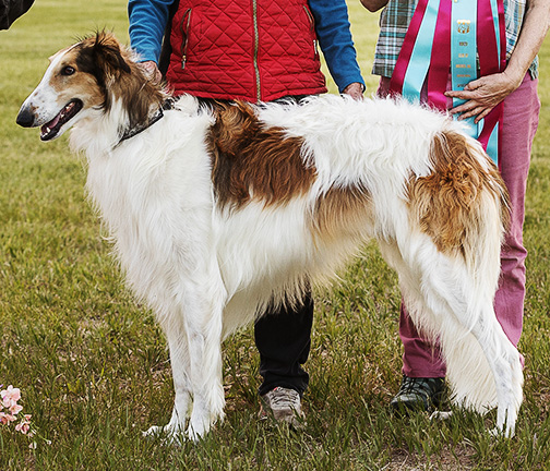 2024 LGRA Best of Breed