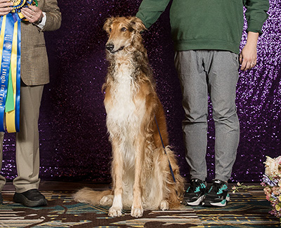 2024 Obedience Award of Merit