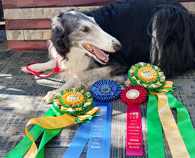 2024 Obedience Award of Merit