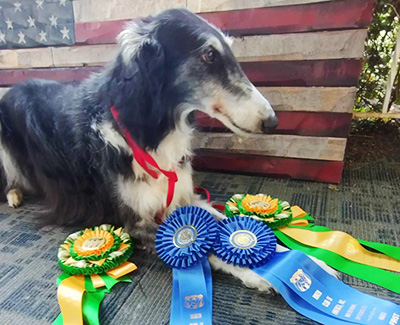 2024 Obedience Award of Merit