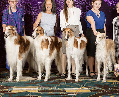 2024 Stud Dog Class - 4th