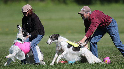 Lure Coursing Slip